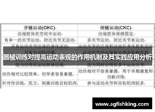 器械训练对提高运动表现的作用机制及其实践应用分析