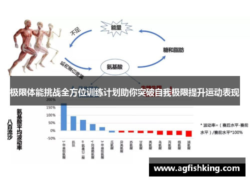 极限体能挑战全方位训练计划助你突破自我极限提升运动表现